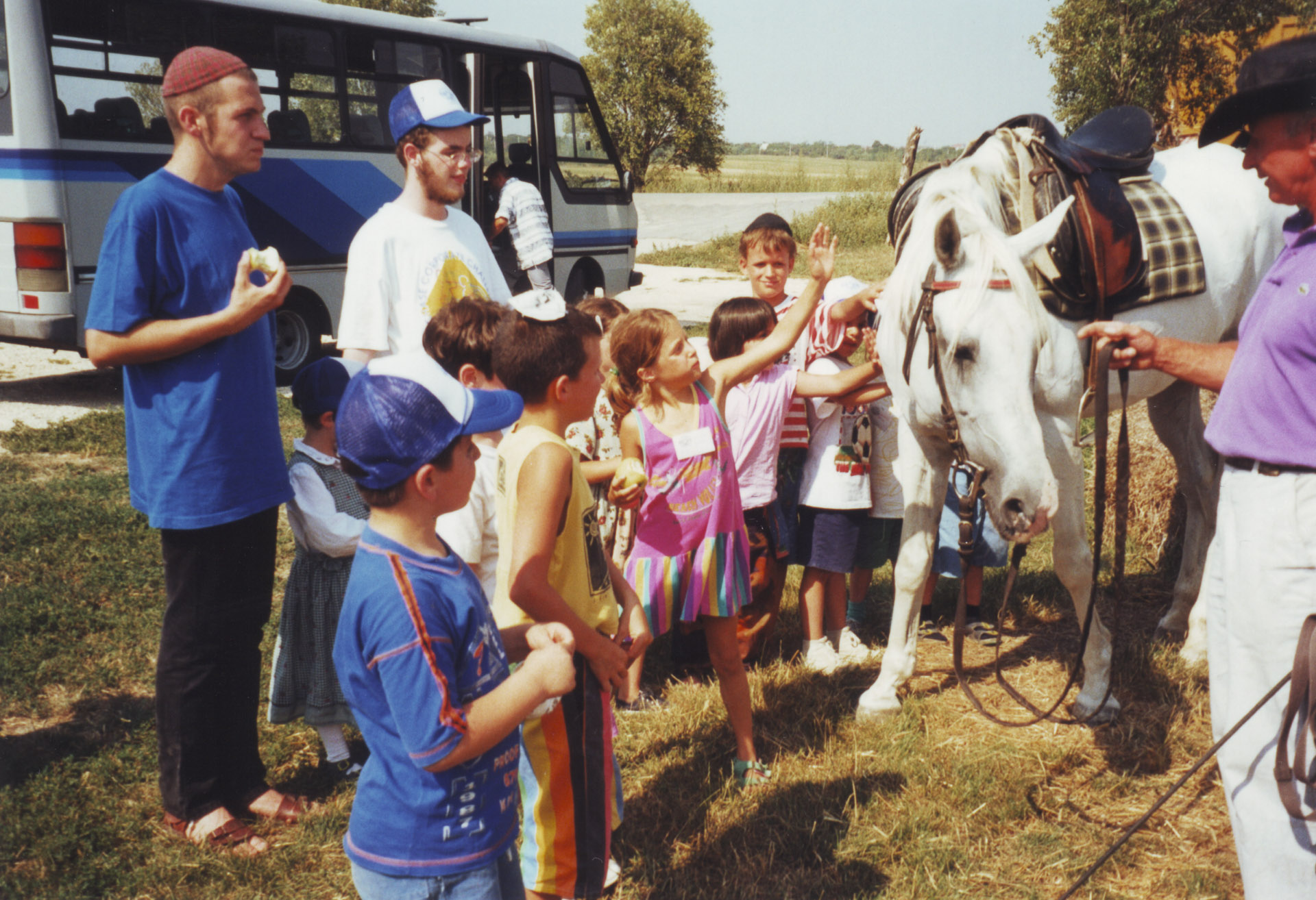 Nyári gyerekprogramok 