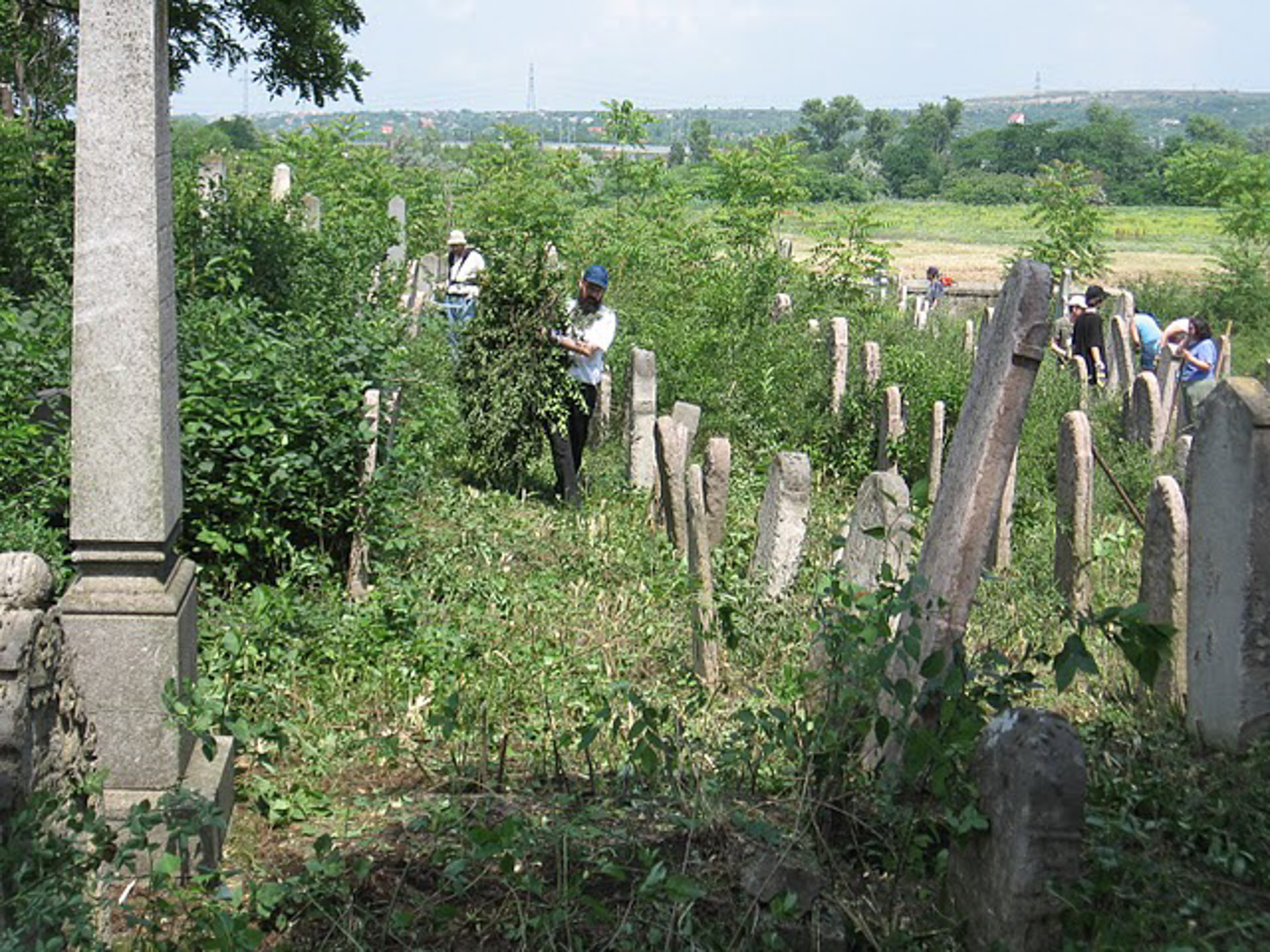 Nagytétényi temető gondozása
